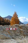 28 Indicazioni